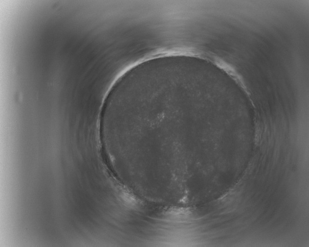 X0000063501174200602032010