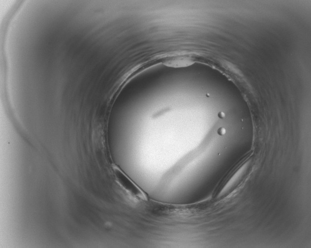 X0000063501177200602032010