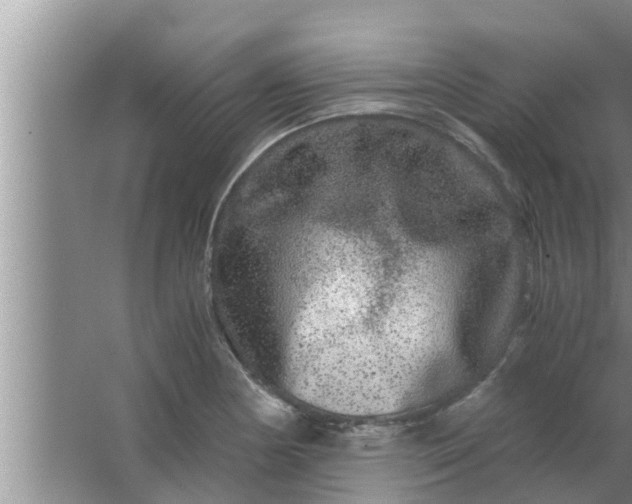 X0000063501178200602032010