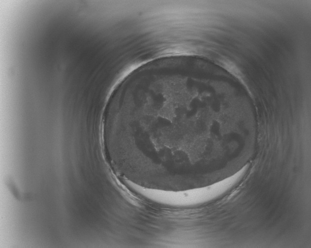 X0000063501179200602032009