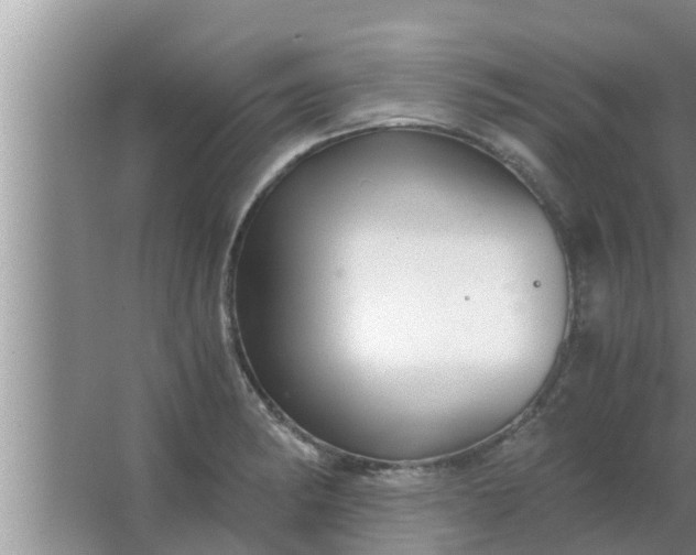 X0000063501182200602032009