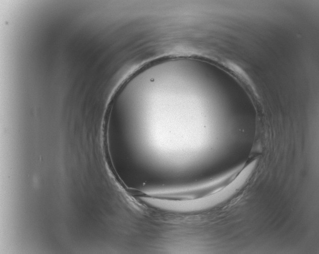 X0000063501183200602032009