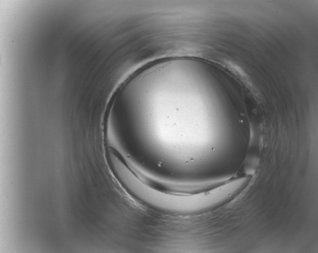 X0000063501184200602032009