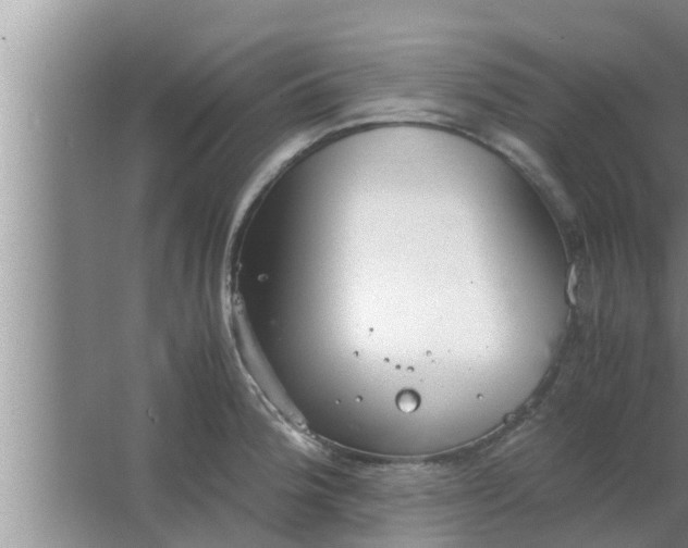 X0000063501188200602032009