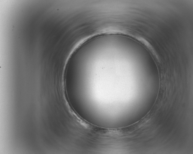 X0000063501191200602032009