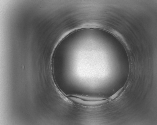 X0000063501192200602032009