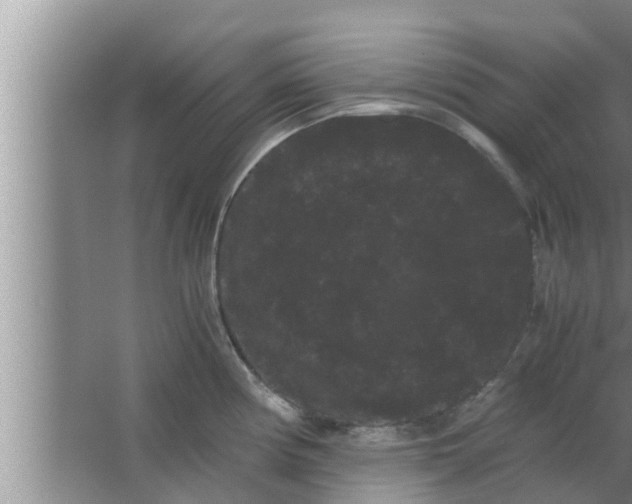 X0000063501194200602032009