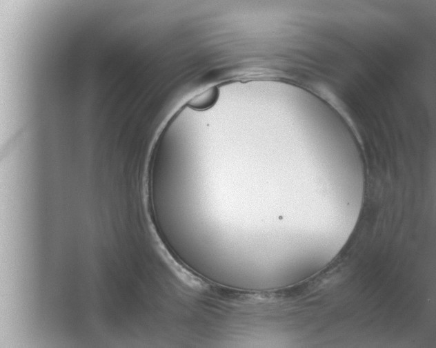 X0000063501195200602032009