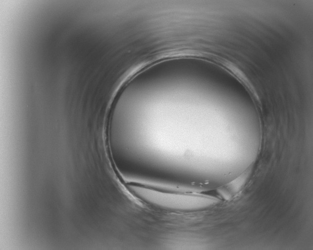 X0000063501197200602032009