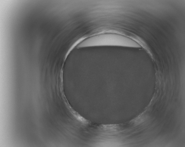 X0000063501198200602032009