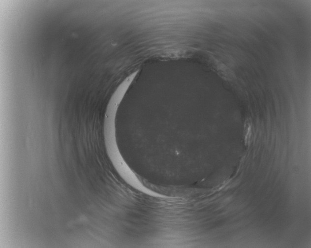 X0000063501202200602032008