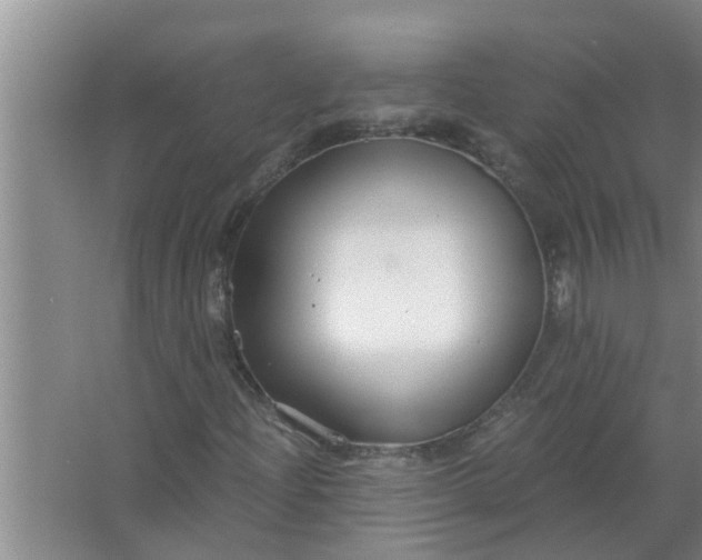 X0000063501204200602032008