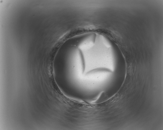 X0000063501205200602032008