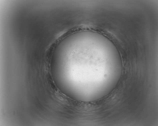 X0000063501207200602032008