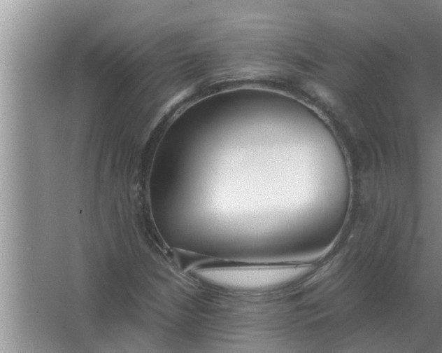 X0000063501210200602032008