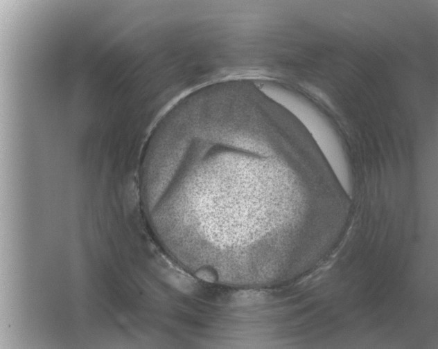 X0000063501212200602032009