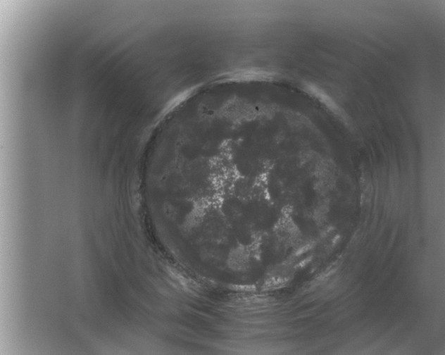 X0000063501213200602032009