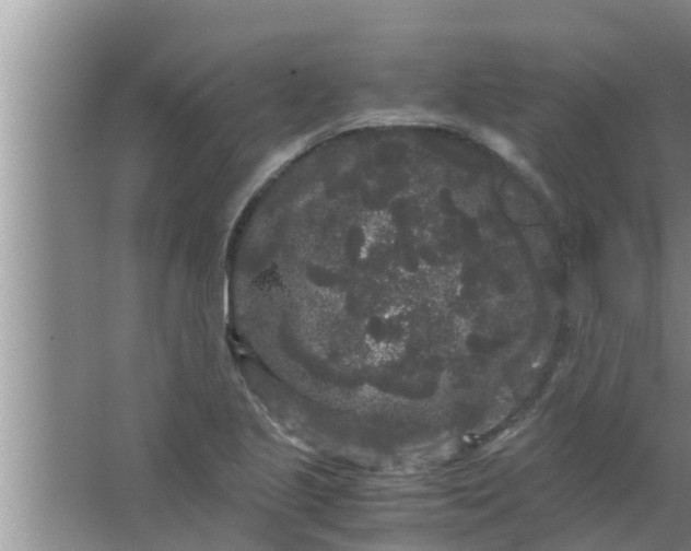 X0000063501221200602032009