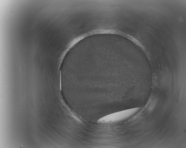 X0000063501223200602032009