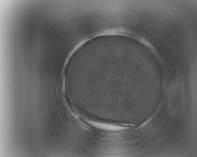 X0000063501224200602032009