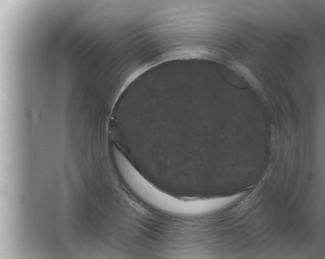 X0000063501226200602032009