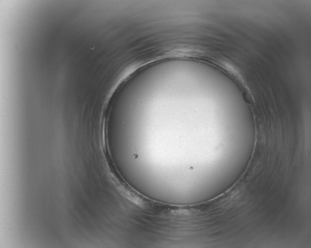 X0000063501227200602032009