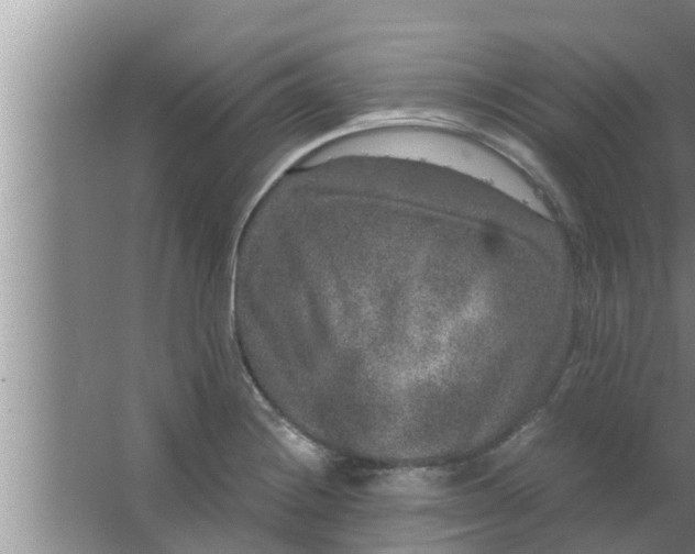 X0000063501228200602032009