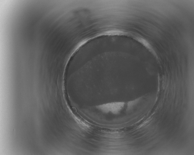 X0000063501229200602032009