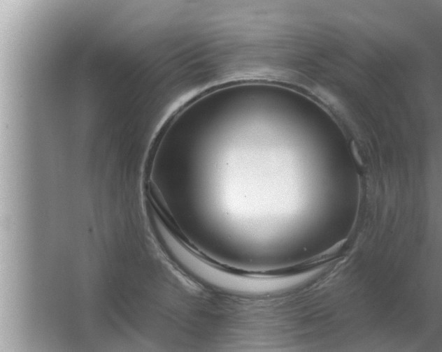 X0000063501230200602032009