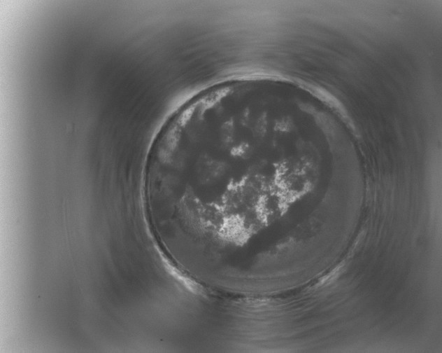 X0000063501231200602032009