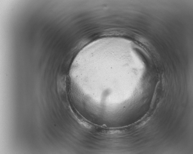 X0000063501233200602032009