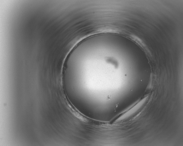 X0000063501236200602032009