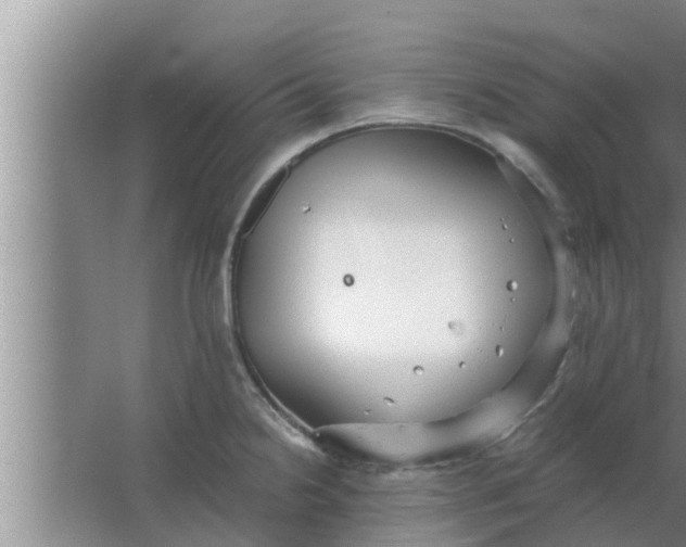 X0000063501238200602032009