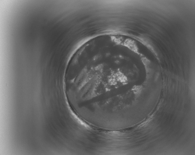 X0000063501239200602032009