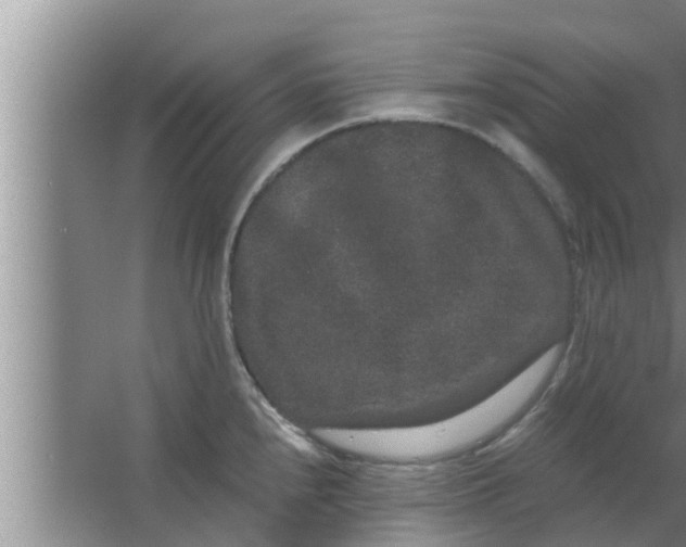 X0000063501240200602032009