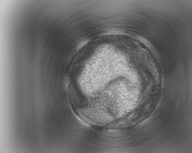 X0000063501241200602032009