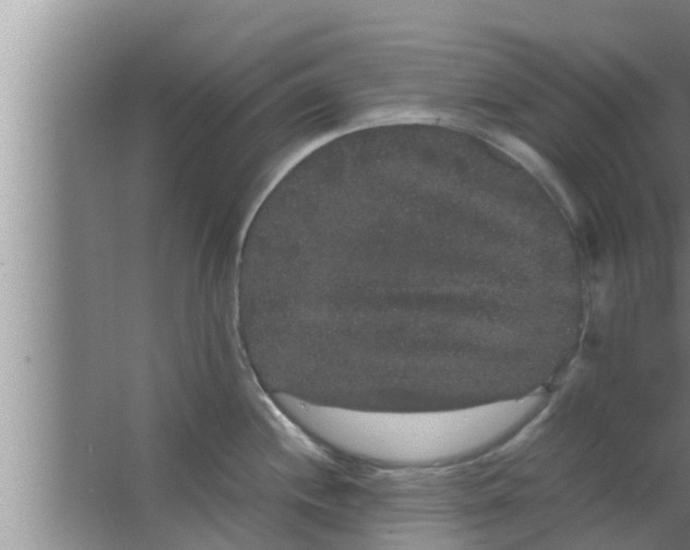 X0000063501244200602032009