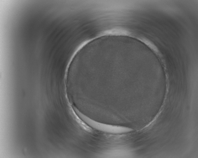 X0000063501248200602032009