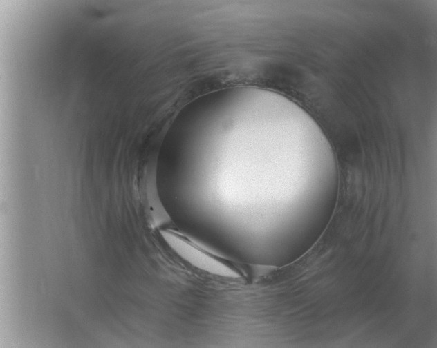 X0000063501250200602032008