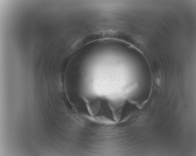 X0000063501252200602032008