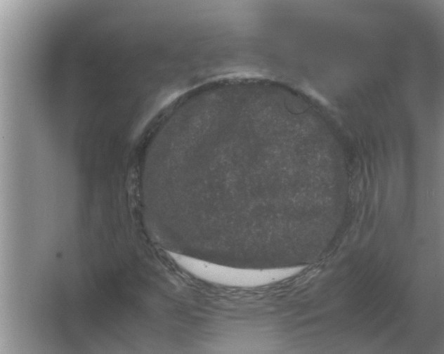 X0000063501255200602032008