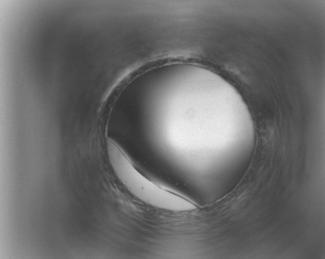 X0000063501256200602032008