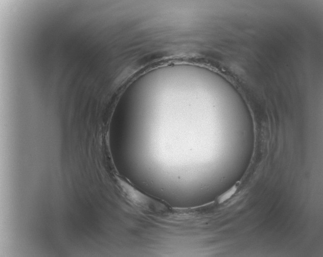 X0000063501257200602032008