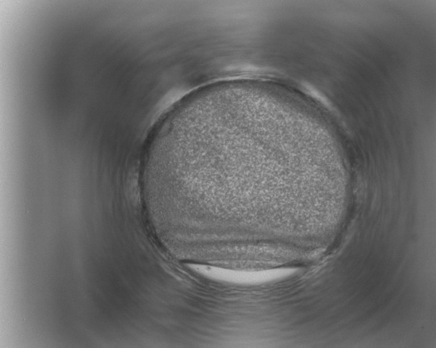 X0000063501259200602032008