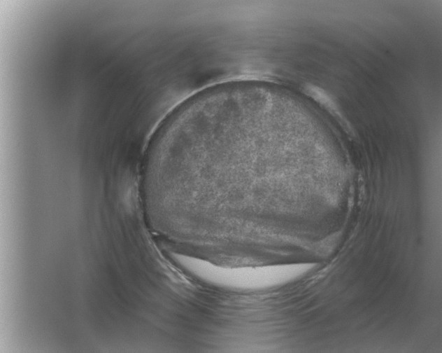 X0000063501260200602032008