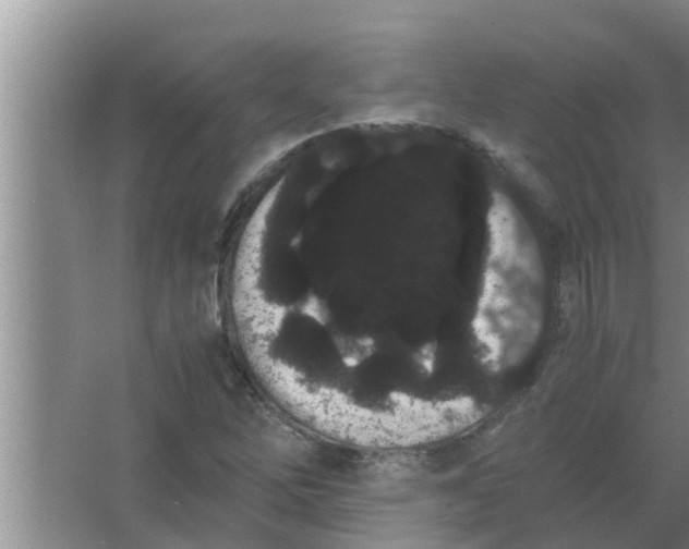 X0000063501262200602032008