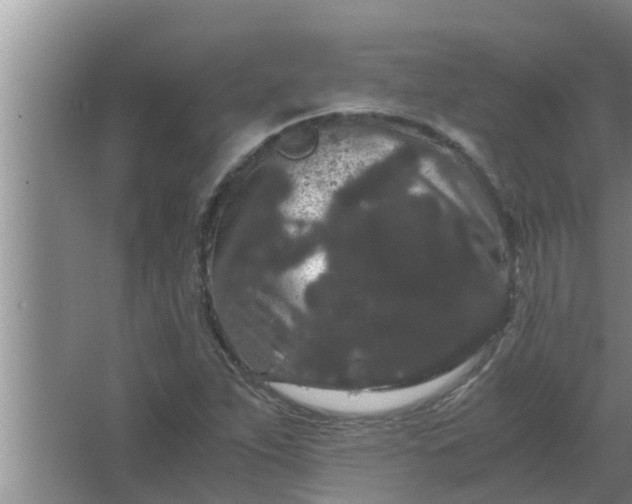 X0000063501263200602032008