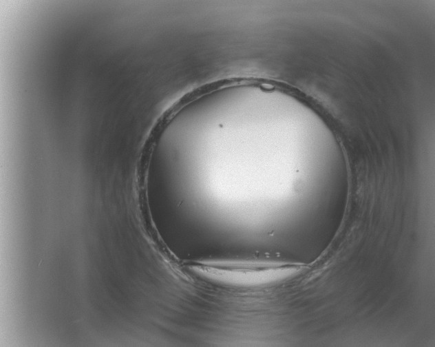 X0000063501264200602032008