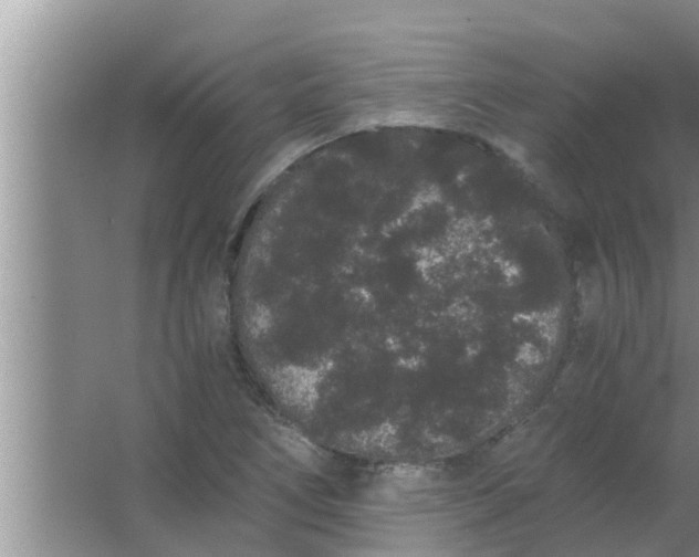 X0000063501266200602032008