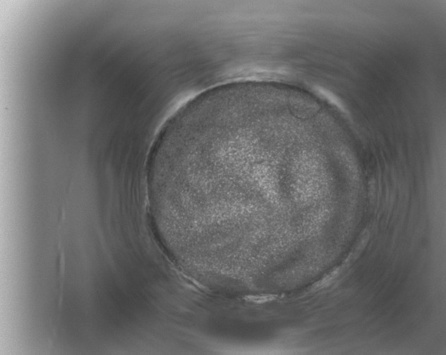 X0000063501267200602032008